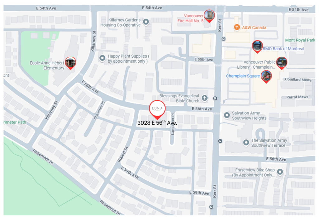 live at luna, interior gallery (2)